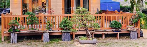 Atelier de formation au jardin Gaia Garden Bonsaï
