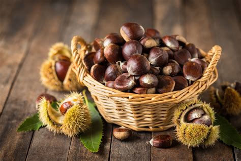 panier de châtaignes en forêt