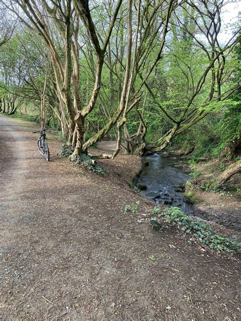 Sentier de promenade dans la Vallée du Goëlo