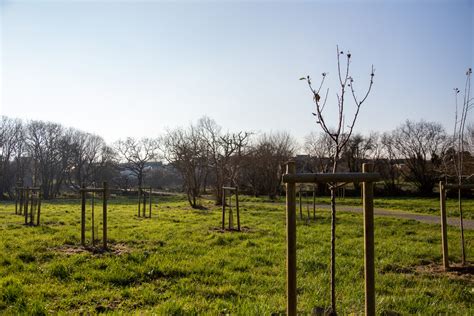 Verger partagé d'Argenton-sur-Creuse