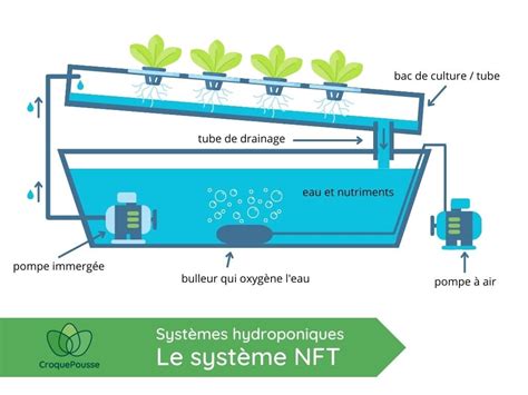 Schéma illustrant le cycle de circulation de la solution nutritive dans un système hydroponique