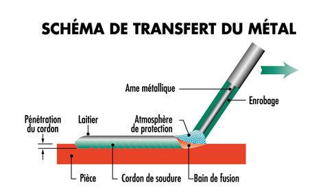 Schéma de la soudure biologique en greffage