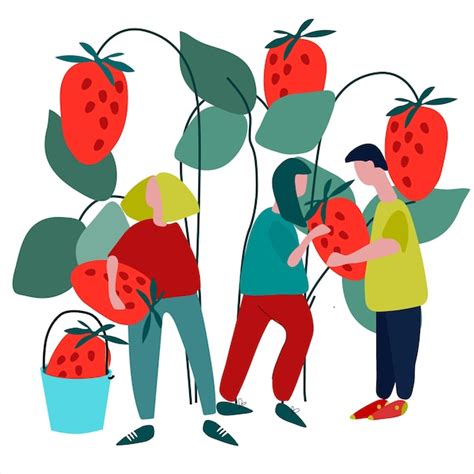 illustration de personnes cueillant des fraises dans un champ