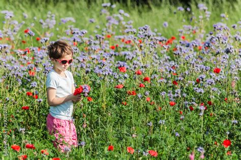 personne cueillant des fleurs dans un champ coloré
