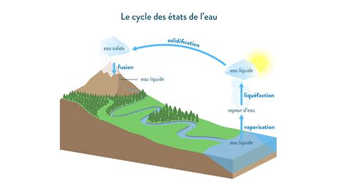 Schéma illustrant le cycle de l'eau et les changements d'état