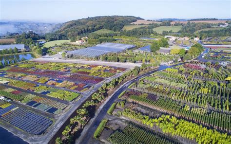 Vue panoramique d'une pépinière professionnelle avec différentes zones de culture et de stockage