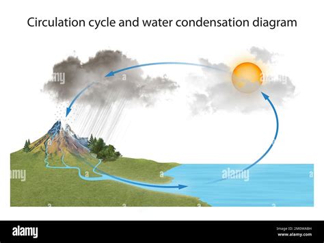 Schéma illustrant le cycle de l'humidité et de la condensation dans une serre tunnel