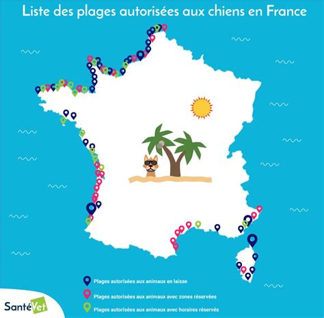 Infographie montrant les plages horaires types autorisées pour le jardinage en France