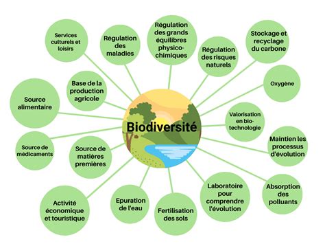 Infographie sur les bénéfices de la biodiversité dans les jardins privés