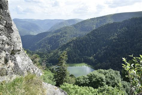 paysage verdoyant dans les Vosges