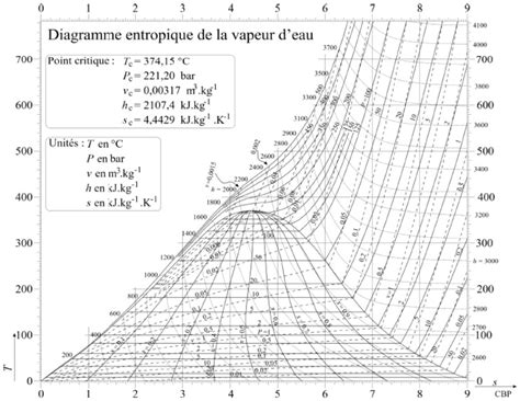 Diagramme illustrant les flux de CO2 et de vapeur d'eau à travers le parenchyme lacuneux et les stomates.