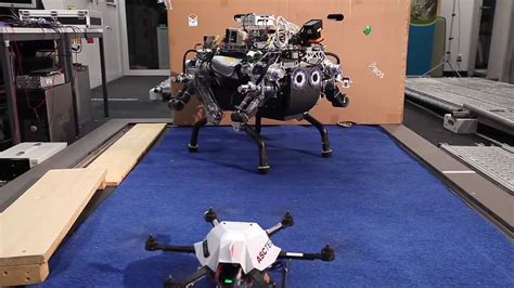Robot quadrupède en phase d'escalade sur un terrain accidenté