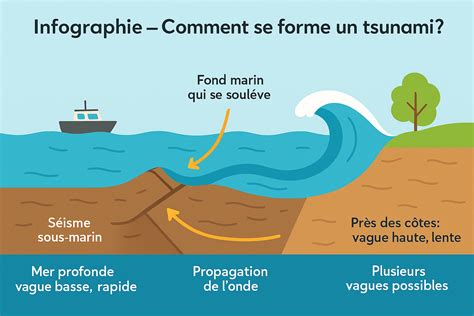 Schéma explicatif d'un potager intérieur installé dans une cuisine lumineuse avec différents types de contenants