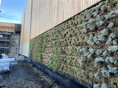 Photo d'un mur végétal réalisé avec des gouttières détournées en potager vertical