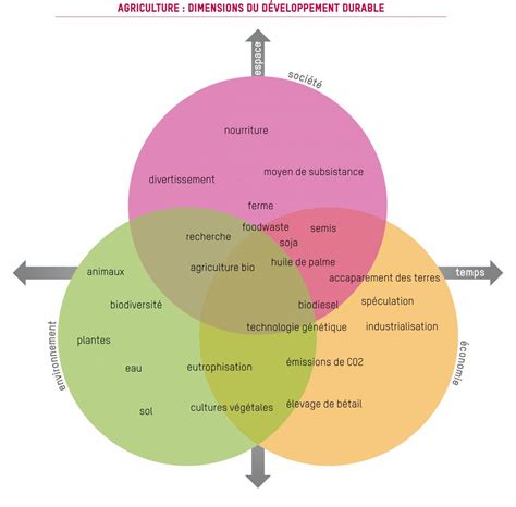 Infographie comparant les méthodes de culture intensive vs permaculture