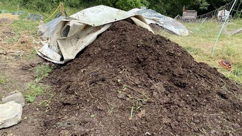 Tas de fumier de chèvre en cours de décomposition dans un jardin