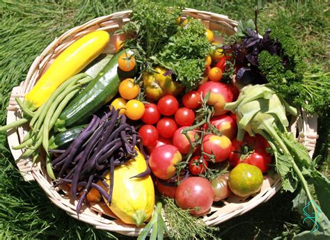 Travail de l'osier et maraîchage biologique manuel
