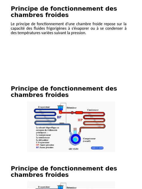 Schéma illustrant le fonctionnement des chambres froides à atmosphère contrôlée
