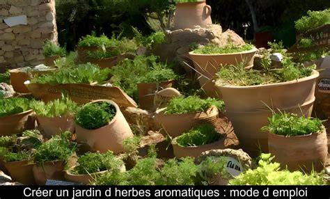 Citronnelle dans un jardin avec d'autres herbes aromatiques