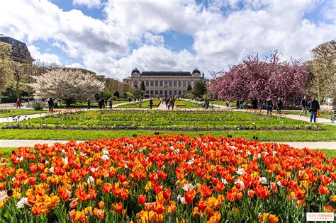 Vue panoramique du Jardin des Plantes avec ses allées fleuries et la Grande Galerie de l'Évolution en arrière-plan