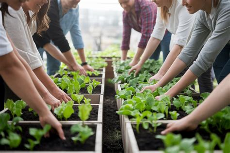 jardinage urbain et potager communautaire