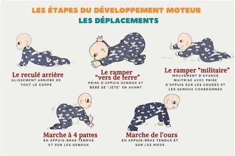 Schéma illustrant les étapes du développement moteur de 6 à 36 mois avec des jouets roulants