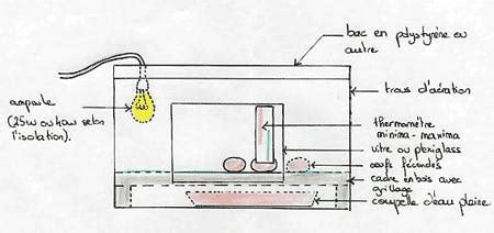 Schéma illustrant le fonctionnement d'une couveuse agricole en réseau