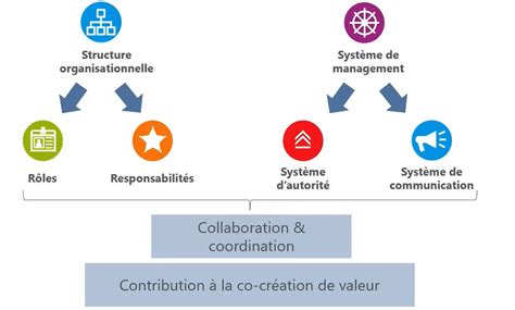 Schéma organisationnel de l'association AVSEA et ses ramifications territoriales