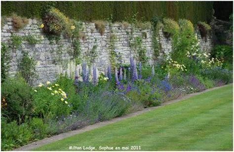 Photo d'inspiration montrant un massif d'hortensias blancs le long d'un mur de pierre