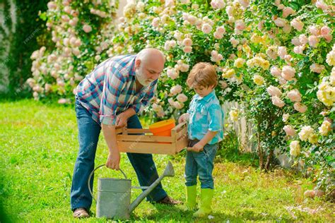 grand-père et petite-fille plantant des fleurs ensemble dans un jardin ensoleillé