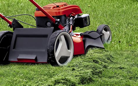 Tondeuse mulching en action