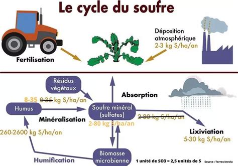 Infographie sur les doses et périodes d'application du soufre selon les cultures