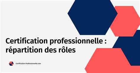 Schéma explicatif montrant la répartition des rôles au sein du conseil d'administration de la société entre praticiens et amateurs