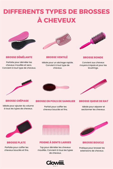 Schéma explicatif des différents types de brosses selon le type de poil du chien