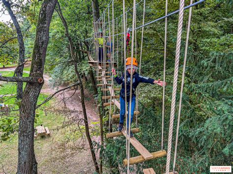 Vue d'ensemble d'un parcours d'accrobranche avec des ponts suspendus entre des arbres