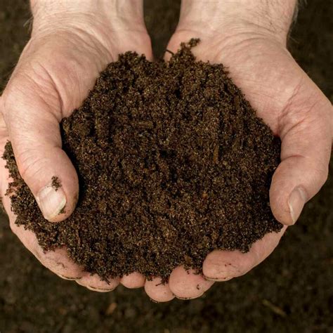Photo montrant l'application du compost mûr à la surface d'un pot de fleurs sur balcon