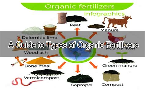 Infographie comparant les différents types d'engrais : liquides vs organiques