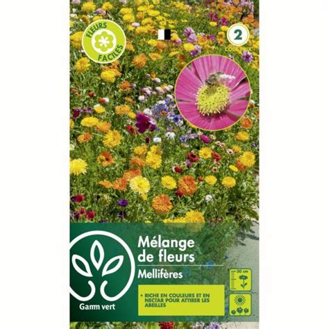 Assortiment de graines de fleurs Gamm vert