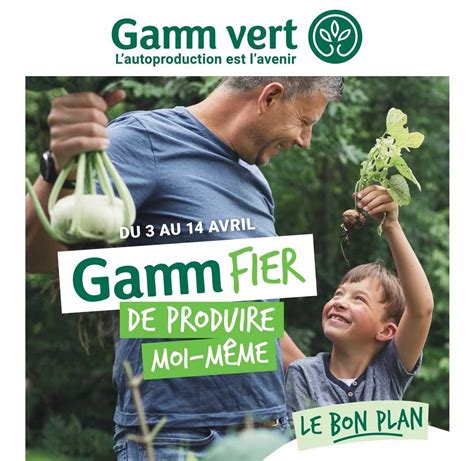 Variété de graines de fleurs Gamm vert pour semis direct