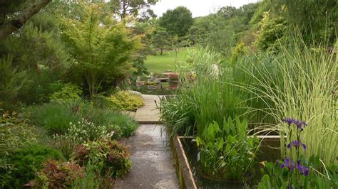 Photo d'un jardin aménagé selon les principes du Wild Gardening avec des bulbes printaniers