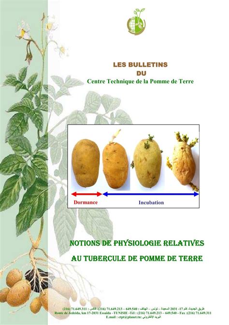 Infographie comparant la résistance du feuillage et du tubercule selon les variétés