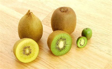Schéma illustrant les différentes variétés de kiwis : Hayward, Gold et Kiwaï