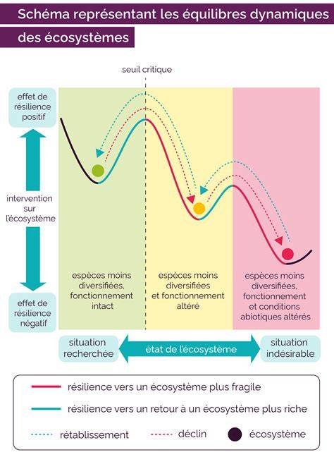 Graphique comparatif : Stabilité des arcs électriques vs résilience d'un écosystème de permaculture