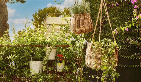 Exemple de balcon végétalisé avec des plantes sauvages et des nichoirs