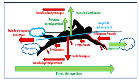 Schéma des forces exercées sur le papillon des gaz
