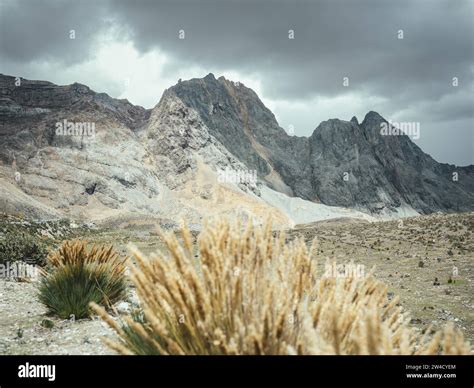 Paysage des hauts plateaux andins où pousse la maca