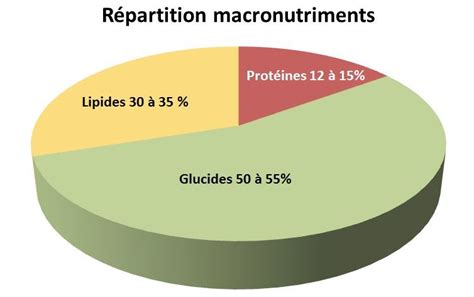 Graphique illustrant la répartition des nutriments dans la racine de maca