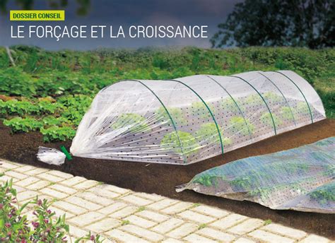 Schéma comparatif des voiles d'hivernage et de forçage