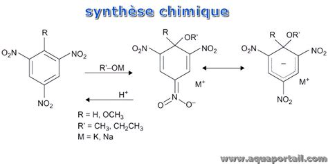 Diagramme simplifié illustrant le processus de synthèse chimique de la taurine à partir de l'oxyde d'éthylène