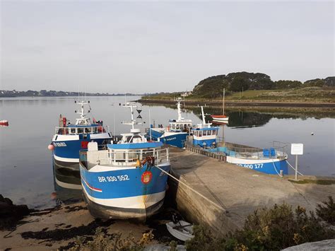 Vue du port de Lanildut avec les navires goémoniers